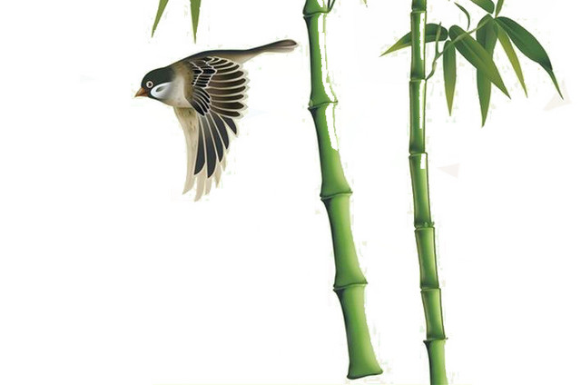 绿色简约小清新竹子小鸟免抠素材