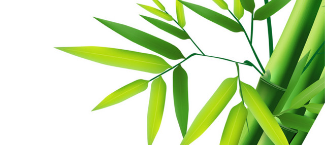绿色手绘小清新竹子免抠素材