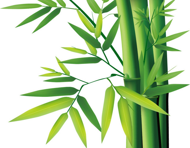 绿色简约竹子免抠素材