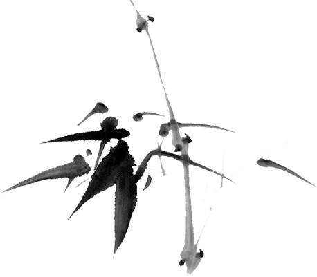 水墨简约清新写意竹子免抠素材