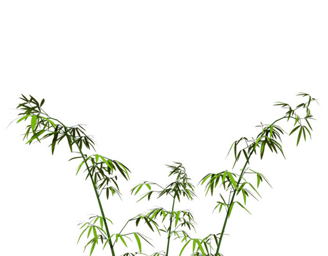 绿色手绘小清新竹子免抠素材