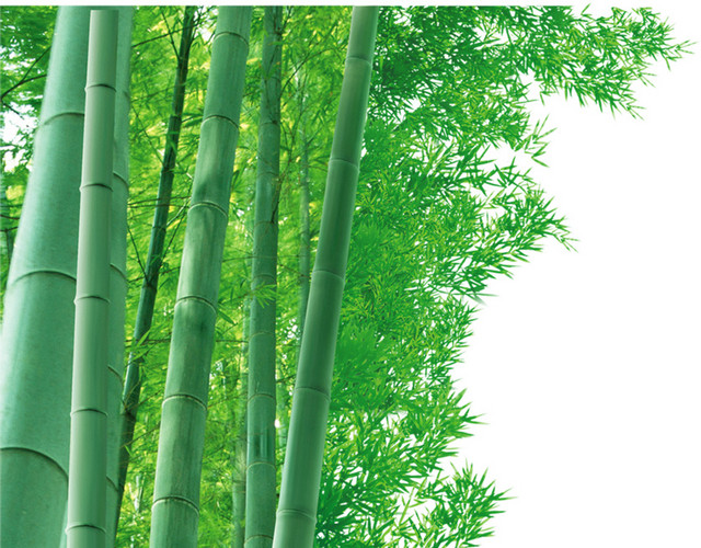 绿色简约竹子免抠素材