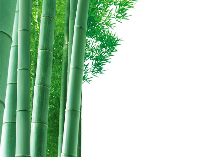 绿色简约竹子免抠素材