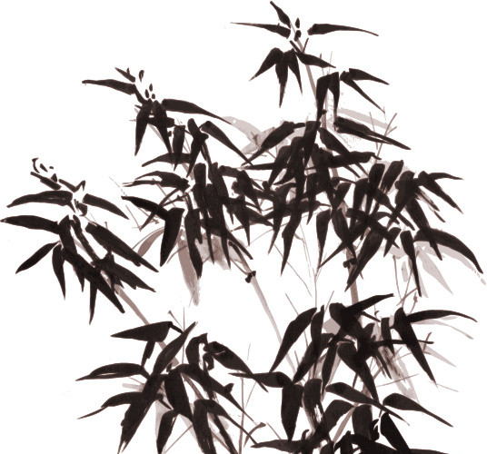 水墨简约清新写意竹子免抠素材