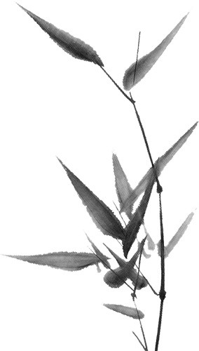 水墨简约清新写意竹子免抠素材