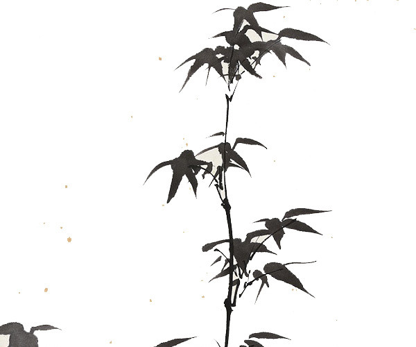 水墨简约清新写意竹子景观免抠素材