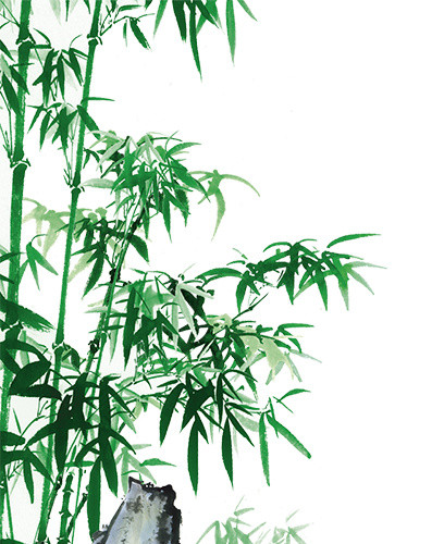 绿色简约小清新竹子蛭石免抠素材