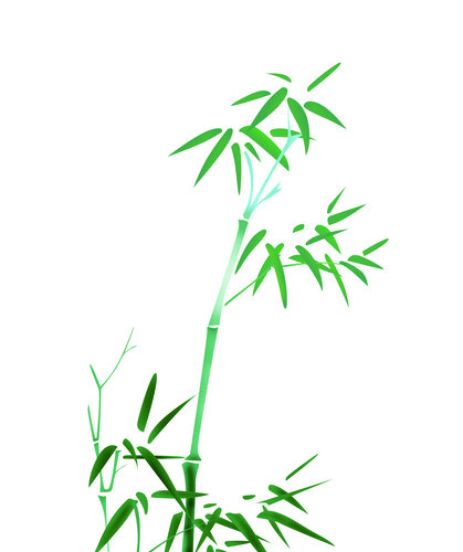 绿色简约小清新竹子免抠素材