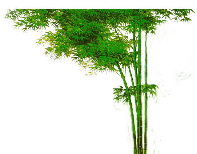 绿色简约竹子免抠素材