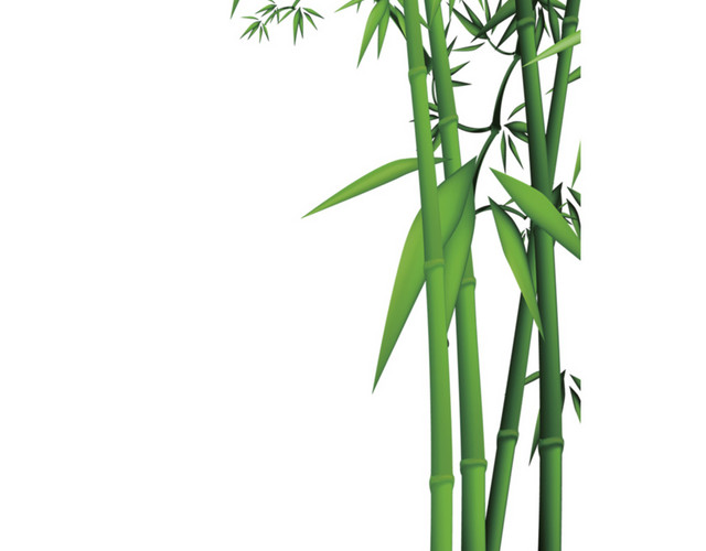 绿色简约小清新竹子免抠素材