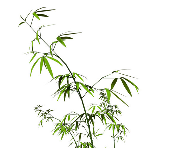 绿色简约小清新竹子免抠素材