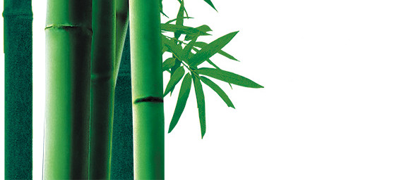 绿色卡通手绘小清新竹子免抠素材