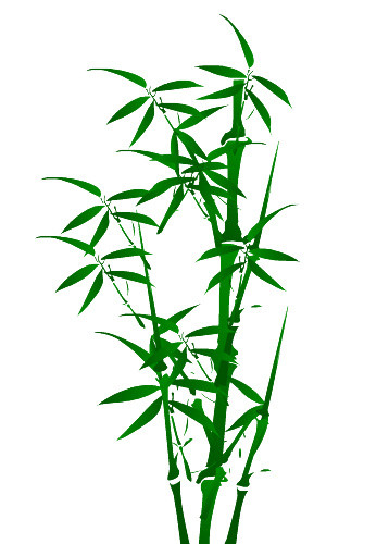 绿色卡通手绘小清新竹子免抠素材
