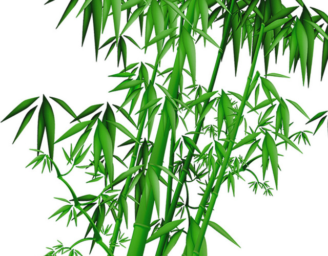 绿色简约小清新竹子免抠素材