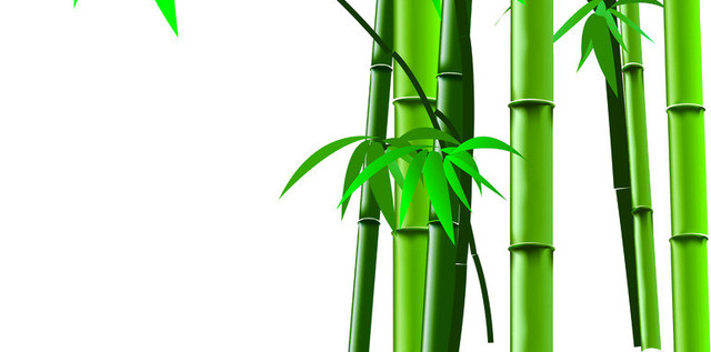 绿色简约小清新竹子免抠素材