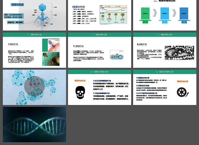 噬菌体病毒微生物学习PPT模板