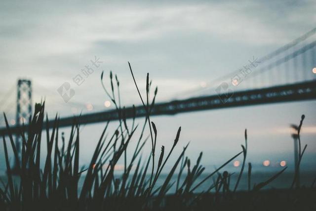 建筑室外高架桥之下的植物景色背景图片