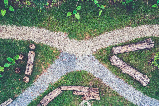 摄影花园里分叉的林间小路背景图片