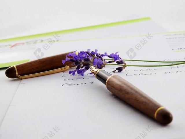 摄影简约钢笔插入鲜花背景图片