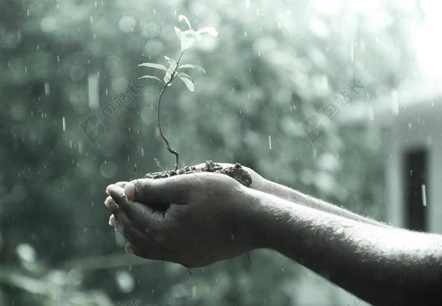 户外手捧植物下雨水泥土广告教育背景图片