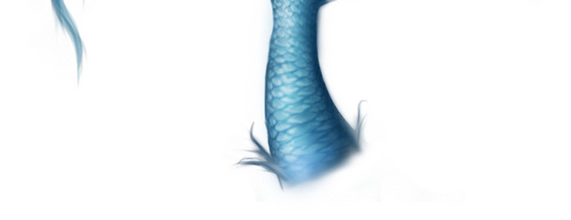 美人鱼尾