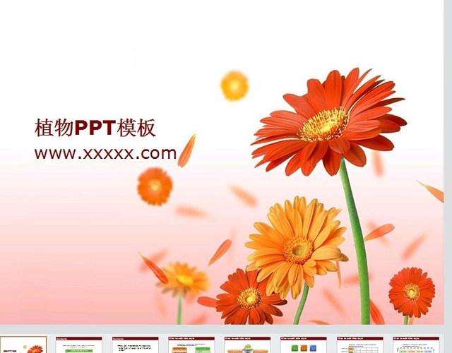 工作汇报数据分析植物背景PPT模板