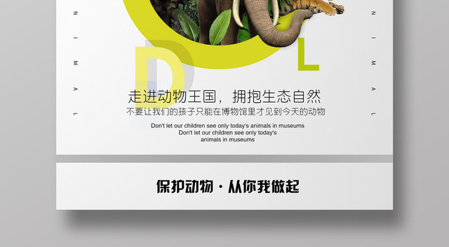 动物园走进动物王国拥抱生态自然保护动物海报