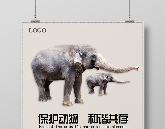 保护动物和谐共存大象简约公益动物园海报