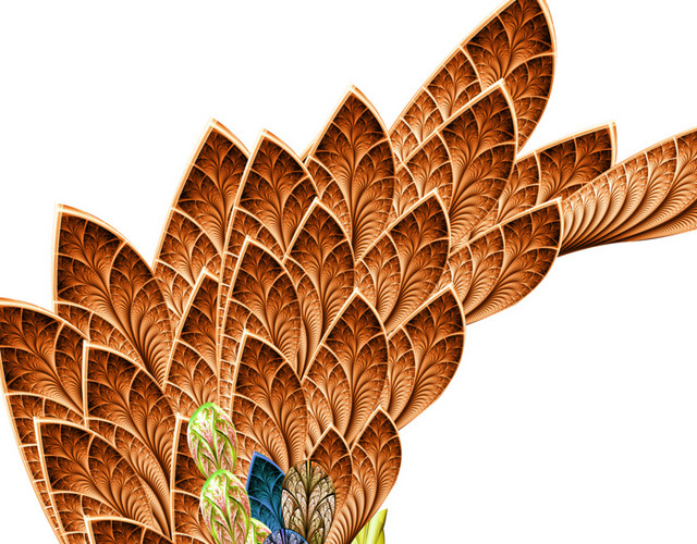 美丽孔雀矢量插画