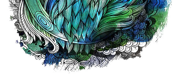 手绘孔雀插画素材