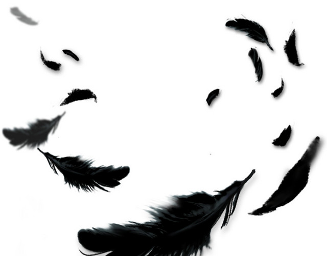 黑色梦幻羽毛素材