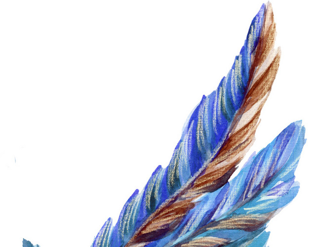 绚丽孔雀插画素材