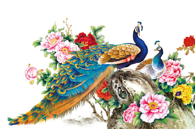 绚丽孔雀手绘图