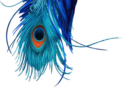 绚丽孔雀手绘插画