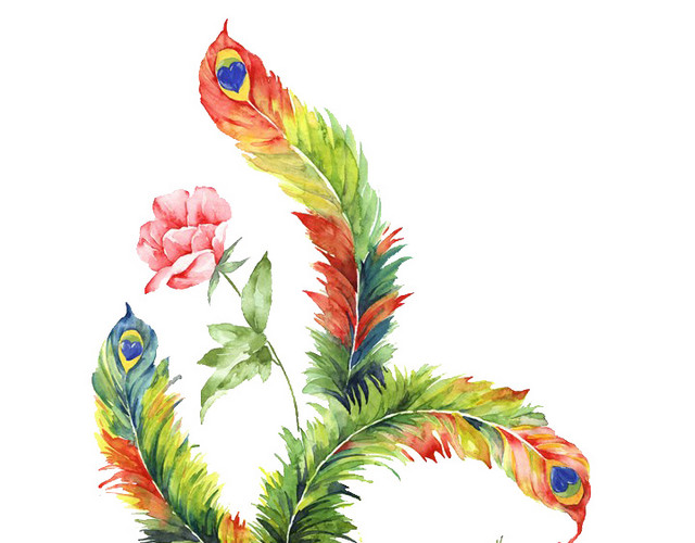 手绘水彩孔雀尾巴花朵插画