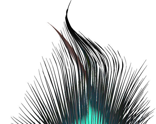 手绘孔雀羽毛插画