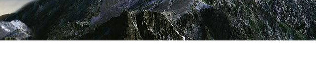风景 老鹰