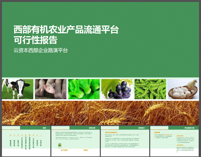 农业项目汇报PPT模板