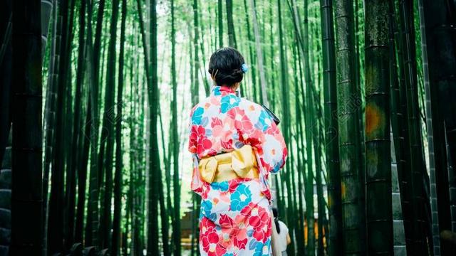 广告时尚竹林里的女子和服背景图片