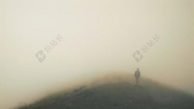 秋天 - 寒冷的 - 落下 - 雾 - 雾 - 道路 - 户外