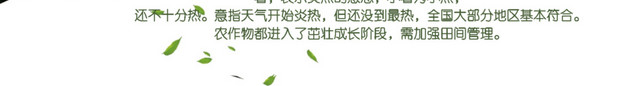 二十四节气小暑文字素材