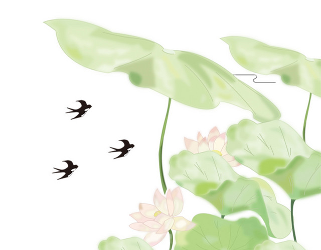 花鸟矢量素材
