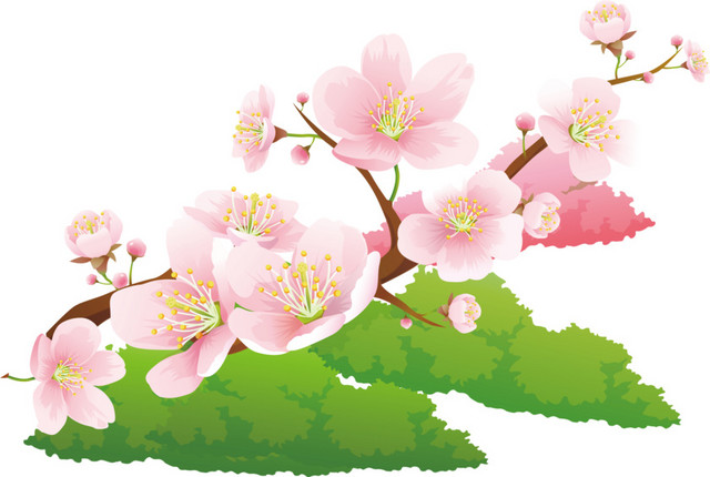 春天桃花素材