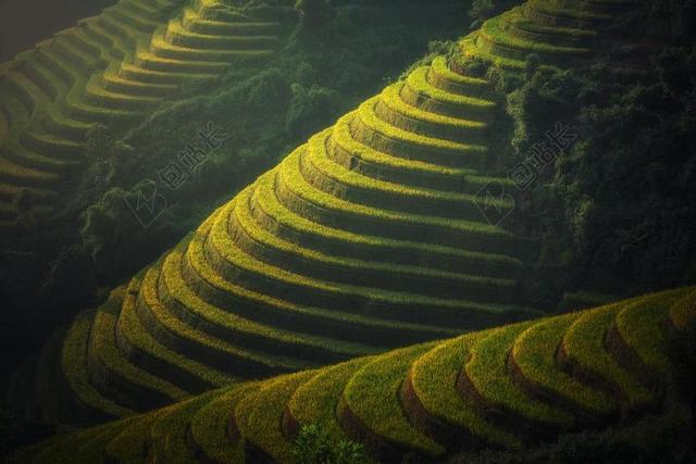 旅游自然户外球场背景图片