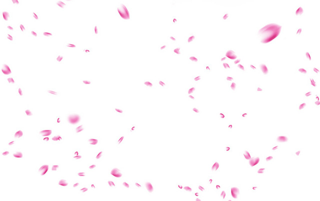 红色花瓣素材