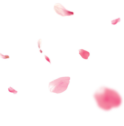 花瓣