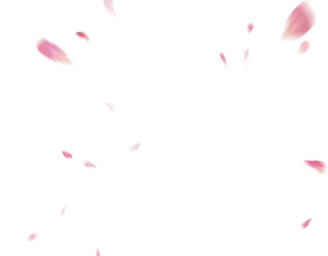 花瓣素材