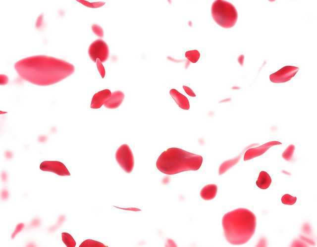 玫瑰花瓣