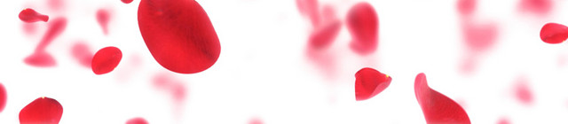 玫瑰花瓣
