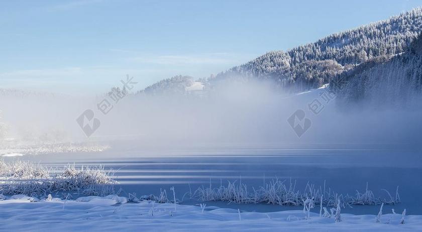 植物景观冬天的白雾和雪林背景图片
